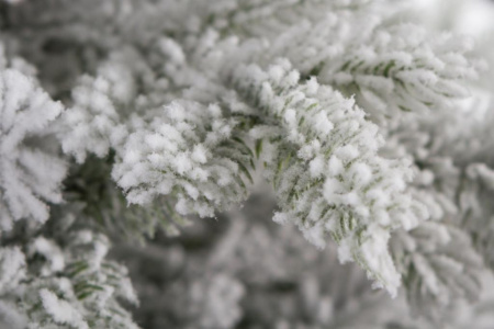 Елка "Аляска заснеженная"